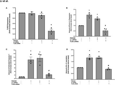 Staphylococcus aureus activates NRLP3-dependent IL-1β secretion from human conjunctival goblet cells using α toxin and toll-like receptors 2 and 1